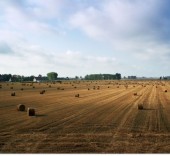 l’agriculture est un moyen
