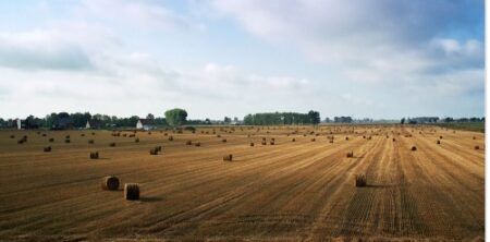 l’agriculture est un moyen