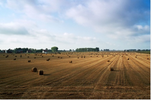 l’agriculture est un moyen